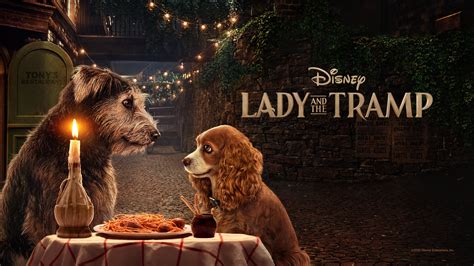 gofilm lady and the tramp (2019)|Lady and the Tramp (2019 film) .